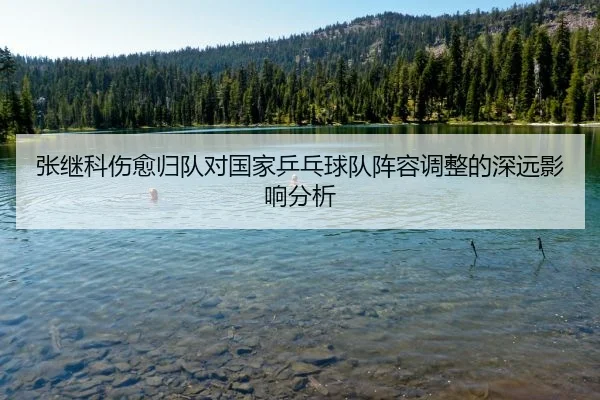 张继科伤愈归队对国家乒乓球队阵容调整的深远影响分析