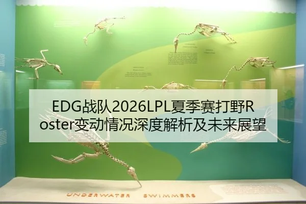 EDG战队2026LPL夏季赛打野Roster变动情况深度解析及未来展望